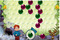 Bubble-igra-sa-psom-i-djecak-u-dzungli